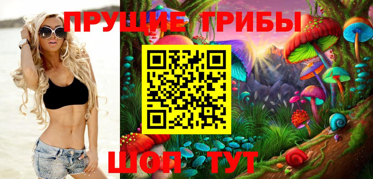 Псилоцибиновые грибы Cubensis Электрогорск